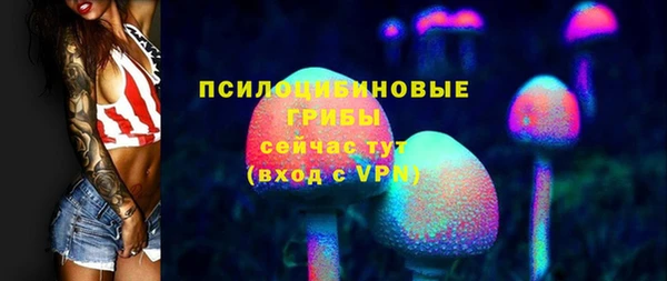 мяу мяу кристалл Иннополис