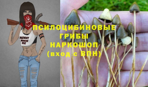 мяу мяу кристалл Иннополис