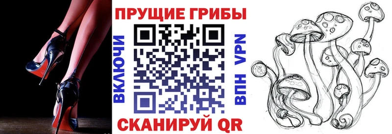 Купить  Трубчевск  Псилоцибиновые грибы GOLDEN TEACHER 